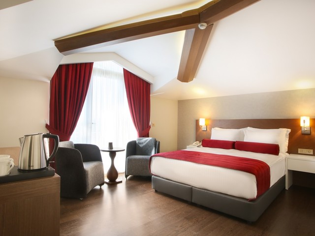 фотографии отеля Veyron Hotels & Spa изображение №11