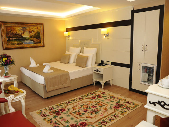 фотографии Comfort Elite Hotel Sultanahmet изображение №24