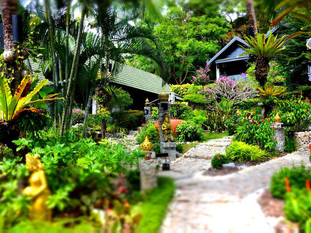 фотографии Boomerang Village Resort изображение №32