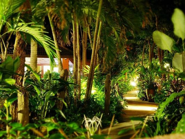 фотографии отеля Polina Park Hotel (ех. Samui Tropical Resort) изображение №47