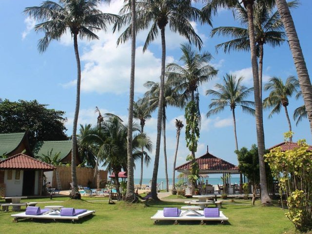 фотографии отеля Phangan Cabana Resort изображение №3