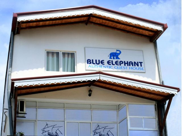 фотографии отеля Blue Elephant Tourist Guesthouse изображение №35