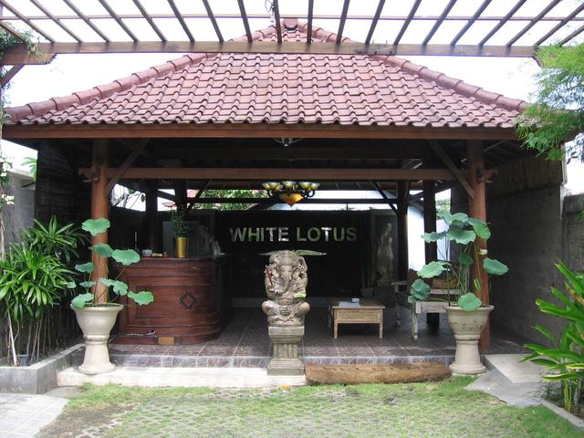 фото White Lotus изображение №2