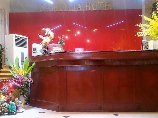 фото Camellia 4 Hotel изображение №2
