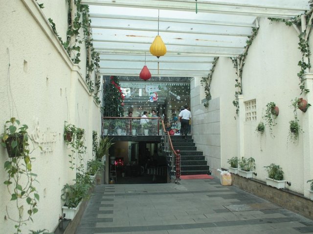 фотографии отеля Sen Viet Hotel изображение №3