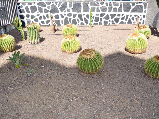 фотографии отеля Los Cactus изображение №11