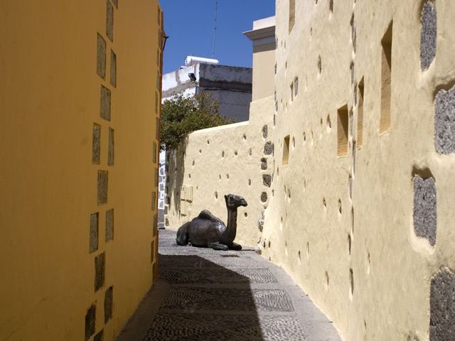 фотографии отеля Hotel Rural Casa de los Camellos изображение №3