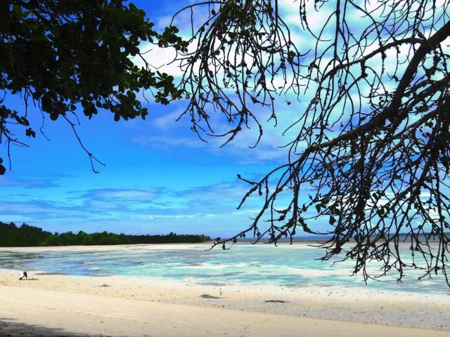 фото Menai Bay Beach Bungalows изображение №14