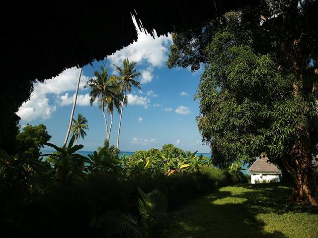 фото отеля Chuini Zanzibar Beach Lodge изображение №37