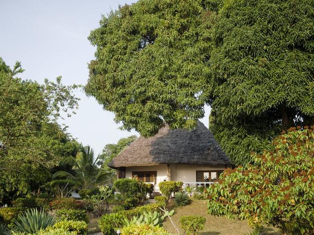 фото отеля Chuini Zanzibar Beach Lodge изображение №9