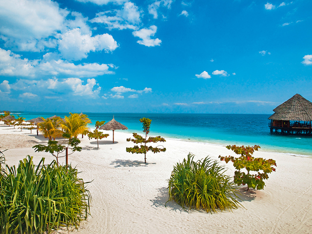 фотографии Zanzibar Dolphin View Paradise Resort & Spa изображение №4