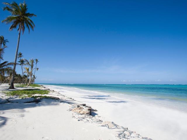 фото Zanzibar Dolphin View Paradise Resort & Spa изображение №2