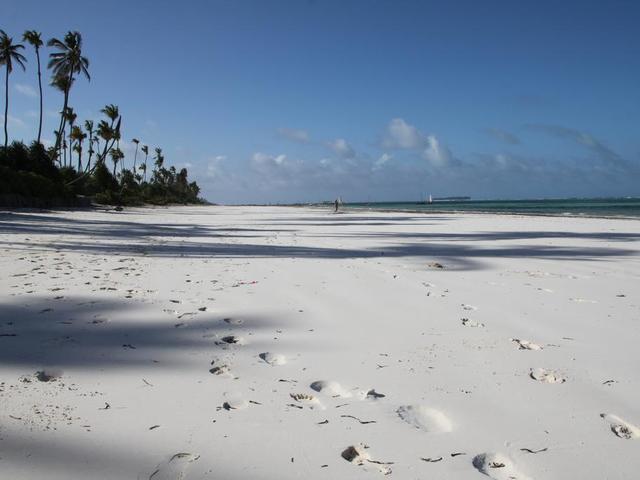 фото отеля Zanzibar Retreat изображение №5