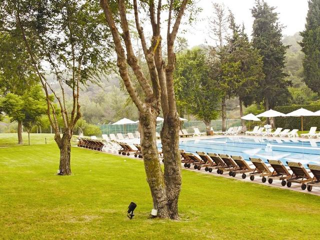 фотографии Carmel Forest Spa Resort by Isrotel Exclusive Collection изображение №36