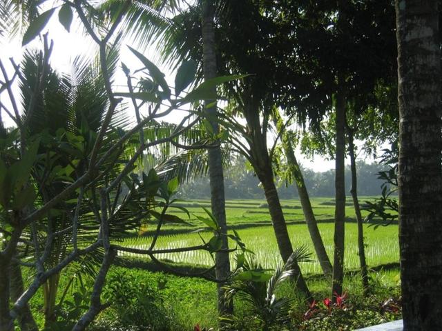 фотографии Villa Pantulan Bali изображение №44