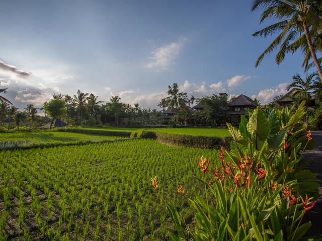 фотографии отеля Amatara Agung Raka (ex. Agung Raka Resort and Villa) изображение №15