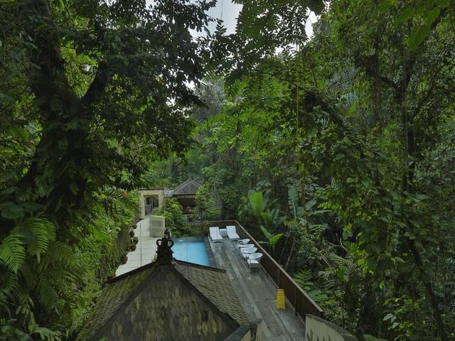 фотографии Alam Ubud Culture Villas & Residences изображение №8