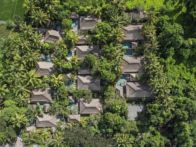 фотографии The Ubud Village Resort and Spa изображение №8