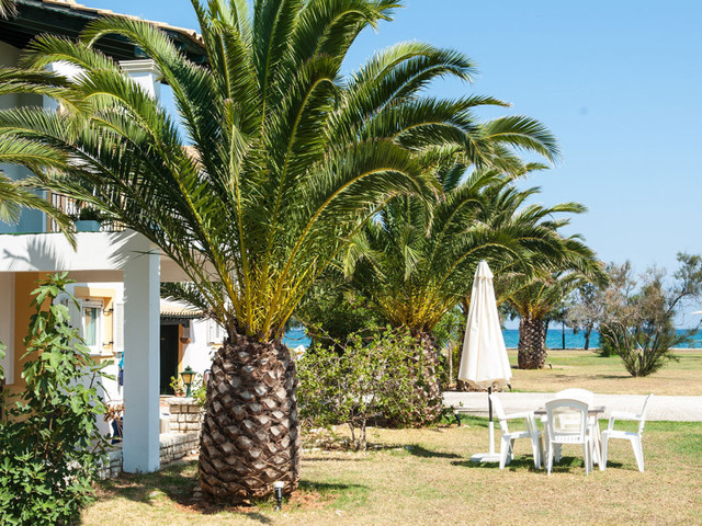 фото Corfu Sea Palm Residence изображение №54