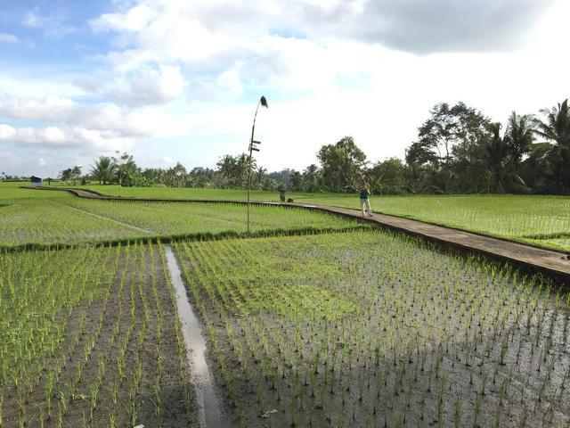 фотографии отеля Villa Kemuning Ubud изображение №23