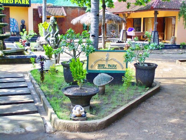 фотографии отеля Gili Meno Garden Lodge (ex. Gili Meno Bird Park Resort) изображение №19