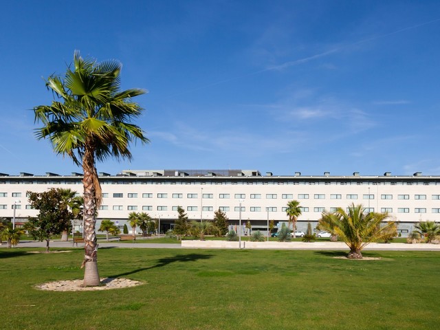 фото Occidental Aranjuez (ex. Hotel Barcelo Aranjuez; Aranjuez) изображение №38