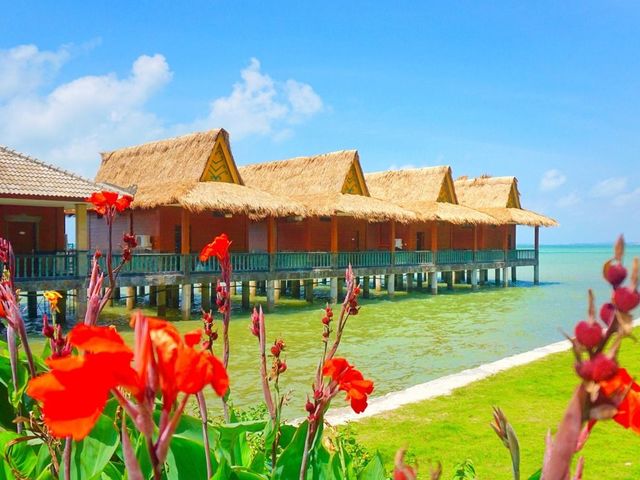 фото Bintan Agro Beach Resort & Spa изображение №18