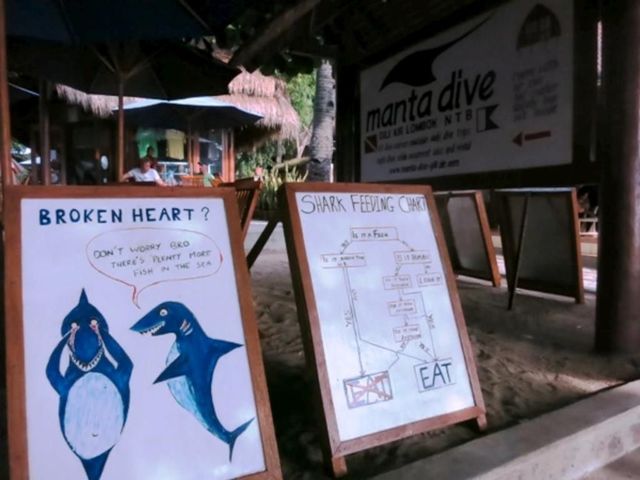 фотографии отеля Manta Dive Gili Air изображение №15