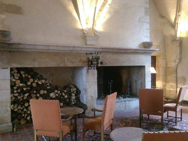 фотографии отеля Chateau De Gilly изображение №11