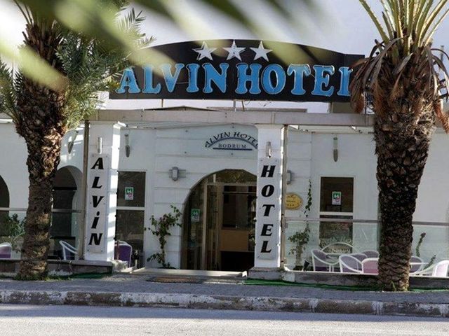 фото отеля Alvin Hotel изображение №13