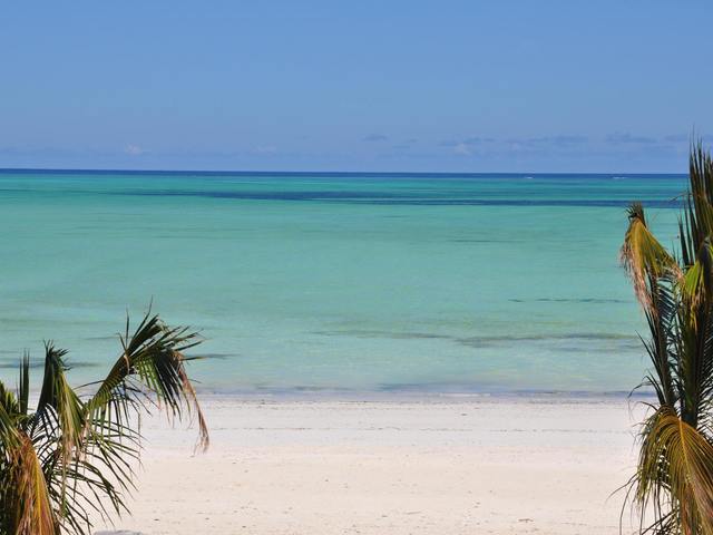 фотографии Zanzibar White Sand Luxury Villas & Spa изображение №112