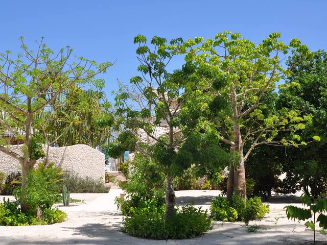 фото отеля Zanzibar White Sand Luxury Villas & Spa изображение №97