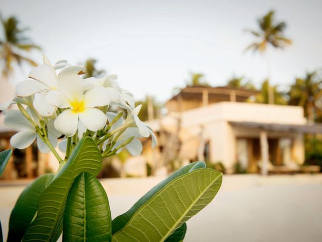 фотографии Zanzibar White Sand Luxury Villas & Spa изображение №64