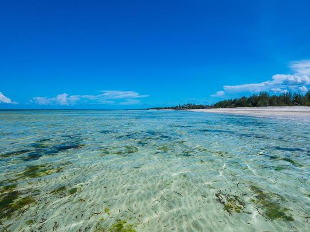 фотографии Zanzibar White Sand Luxury Villas & Spa изображение №4