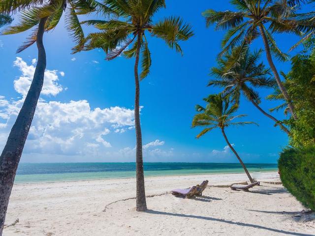 фото Indigo Beach Zanzibar изображение №18