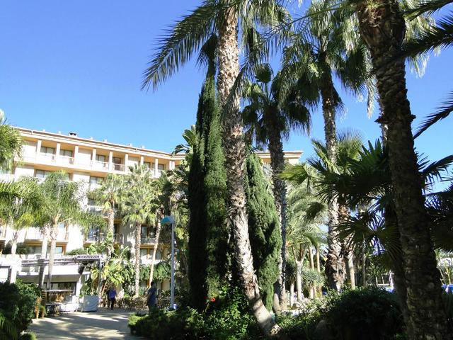 фотографии Allsun Hotel Estrella & Coral de Mar Resort (ex. Estrella Coral de Mar Resort Wellness & Spa) изображение №16