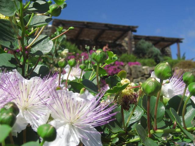фото отеля Pantelleria Dream изображение №9