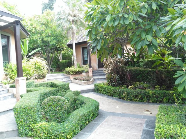 фото отеля Plumeria Resort Pattaya (ex. Plumeria Serviced Apartment) изображение №69