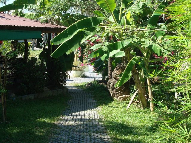 фото Tropical Garden Lounge Hotel & Resort изображение №18