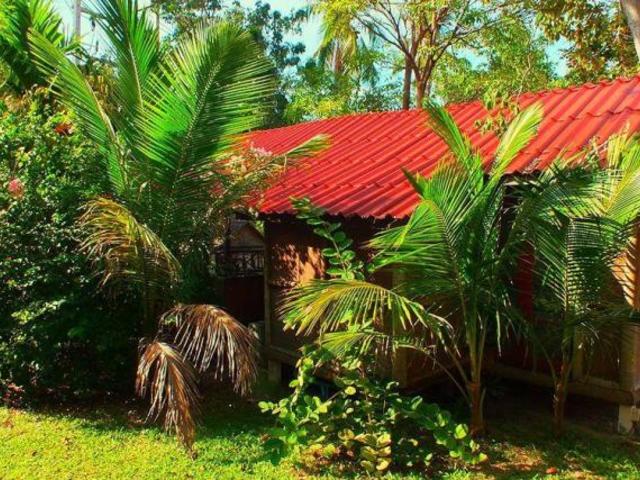 фото Tropical Garden Lounge Hotel & Resort изображение №10