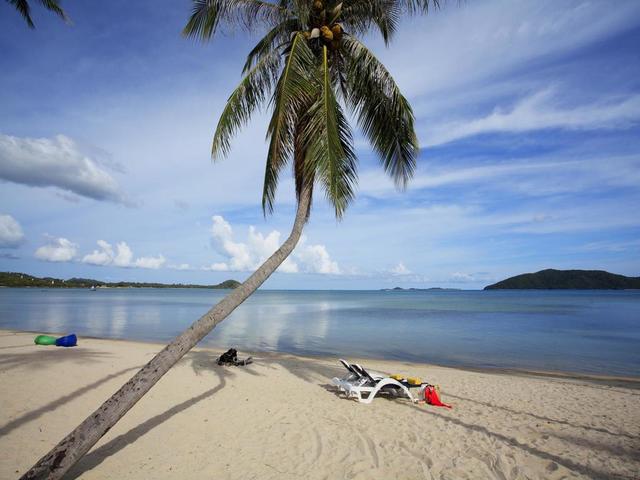 фотографии отеля Centra Coconut Beach Resort Samui (ех. Coconut Villa Resort & Spa) изображение №23