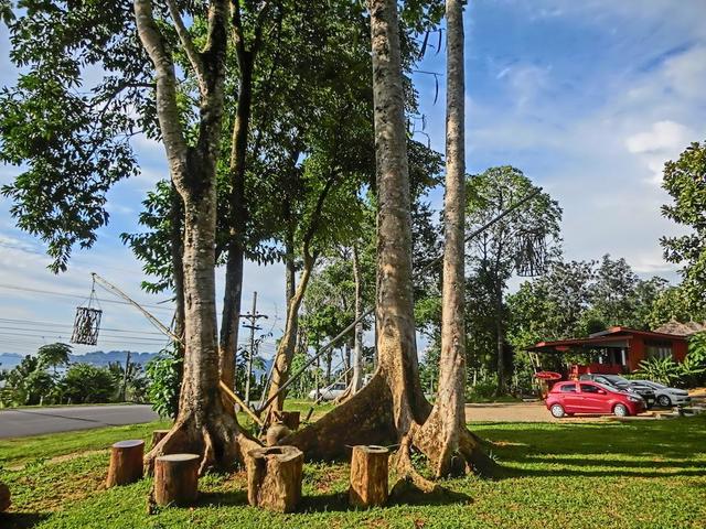 фото Khaothong Terrace Resort изображение №14