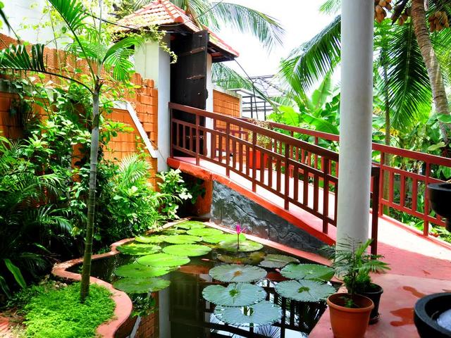 фотографии отеля Chakra Ayurvedic Resort изображение №15