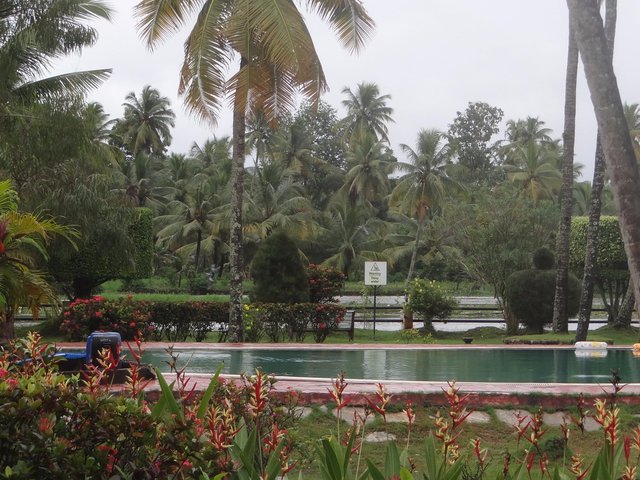 фото отеля Club Mahindra Kumarakom (ex. Golden Waters) изображение №13