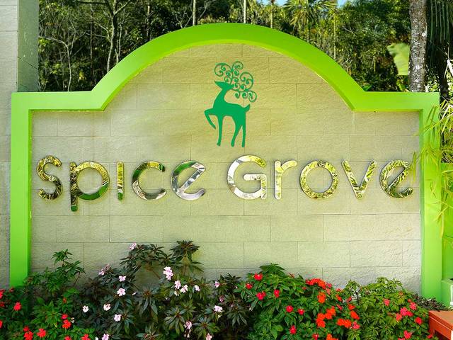 фотографии Spice Grove  изображение №28