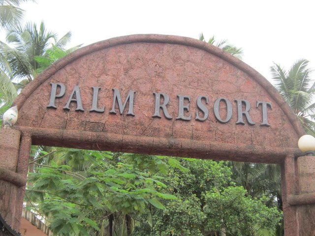 фотографии Palm Resort изображение №20