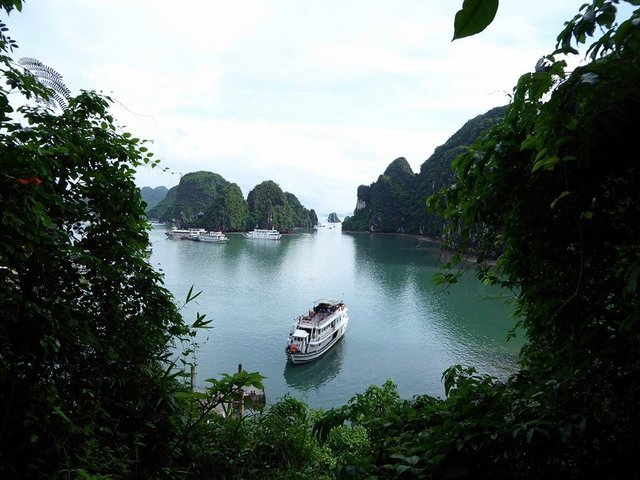 фото Alova Gold Cruises Ha Long изображение №6