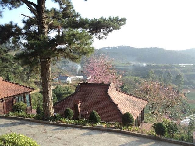 фотографии отеля Osaka Village DaLat изображение №23