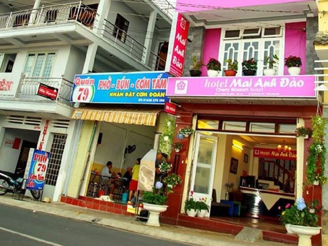 фото отеля Mai Anh Dao Hotel изображение №1