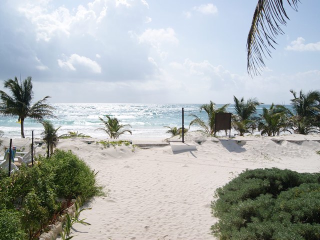 фотографии Selina Tulum (ex. Hotel Cabanas Los Lirios Tulum) изображение №24